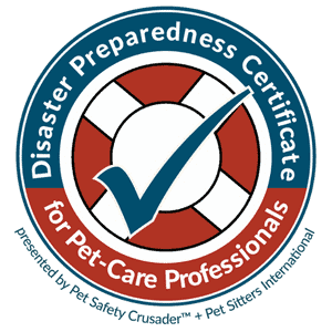 disaster preparedness course