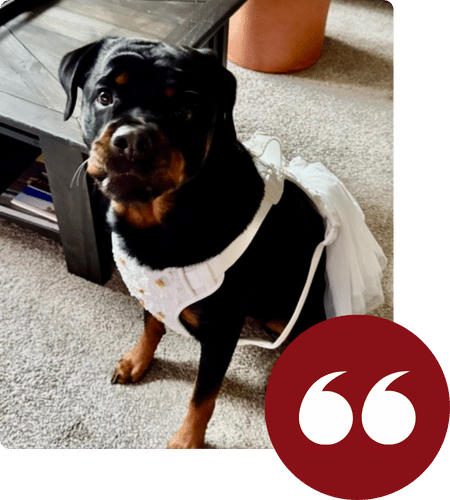 Shane Michael- Wedding Photographer